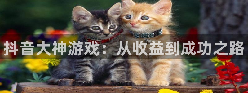 江苏银河(galaxy)智得新材料有限公司：抖音大神游戏：从收益到成功之路