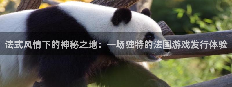 银河(galaxy)环境科技有限公司