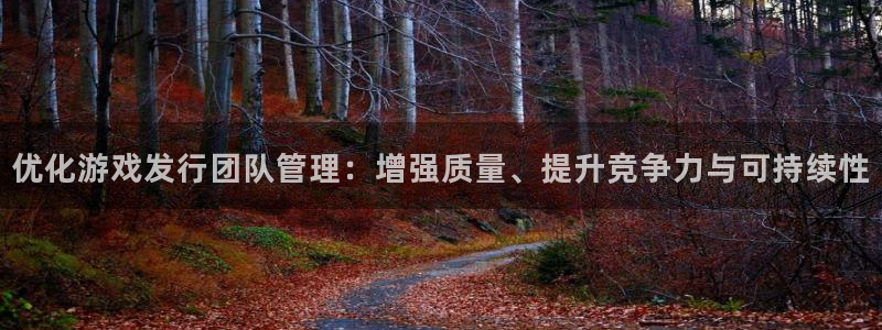 银河官网下载分分彩：优化游戏发行团队管理：增强质量、提升竞争力与可持续性