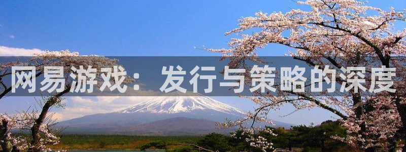 银河官网的奇趣腾讯是真的吗吗：网易游戏：发行与策略的深度